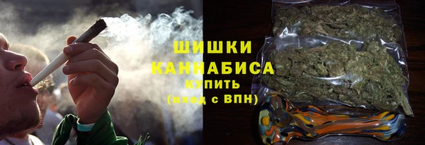 МДПВ Инсар