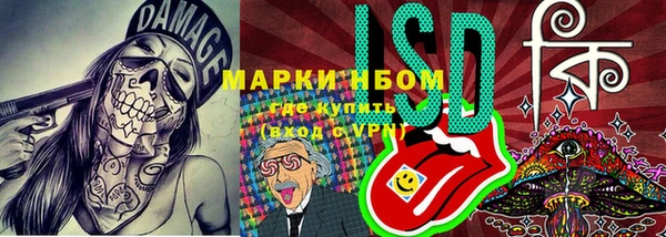 МДПВ Инсар
