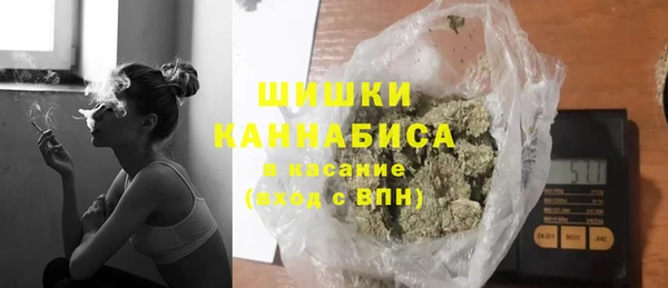 МДПВ Инсар