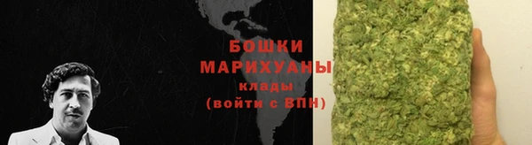 гидропоника Иннополис