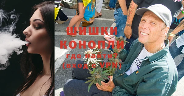 гидропоника Иннополис