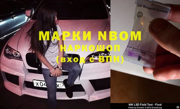 МДПВ Инсар