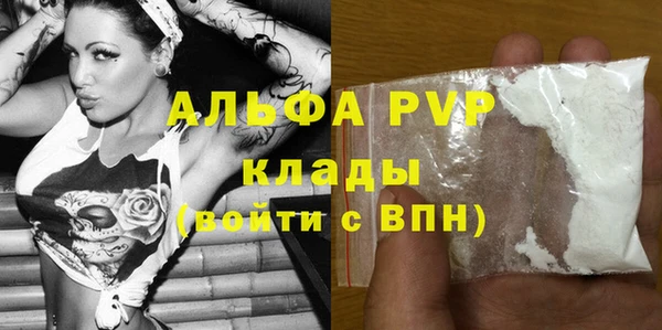 МДПВ Инсар