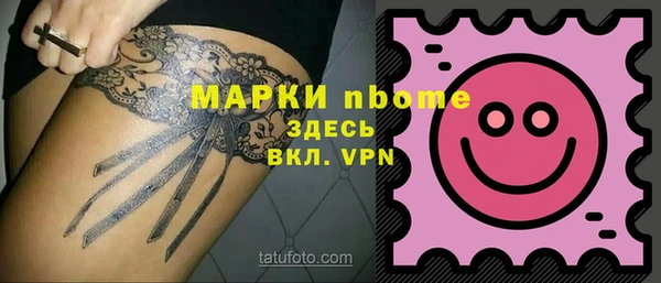 МДПВ Инсар