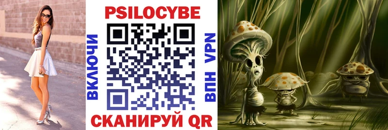 Купить  Медногорск  Псилоцибиновые грибы Psilocybe 